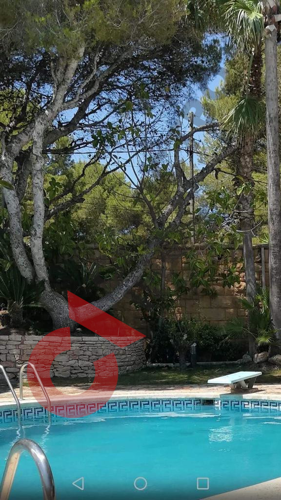 Російський агент Шарій мешкає на віллі за 1 млн євро в Іспанії, - ЗМІ 05