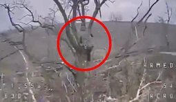 дрон збиває окупанта із дерева