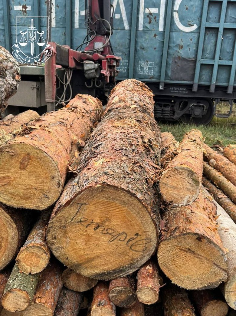 древесина