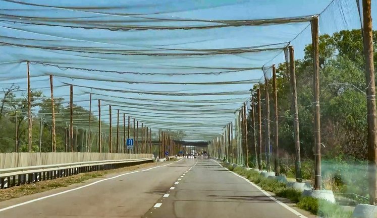 Понад 534 км антидронового захисту облаштовано у 2025 році, - Міноборони