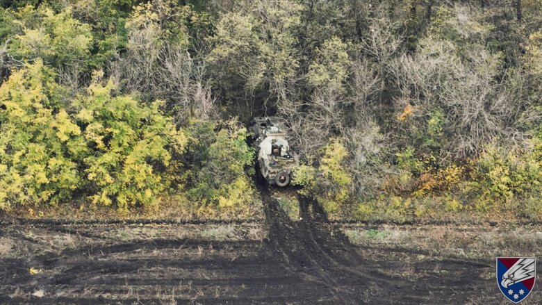 Sicheslav paratroopers continue to destroy enemy and his equipment 06