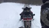 сигареты