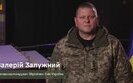 залужний