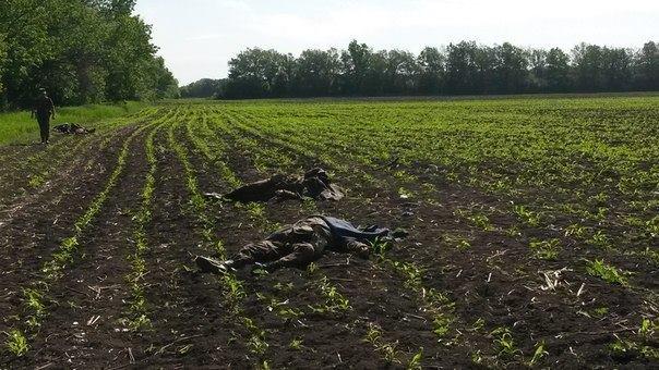 убийство бой