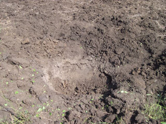 Під час виконання с/г робіт на Донеччині підірвався трактор 03 Під час виконання с/г робіт на Донеччині підірвався трактор 03