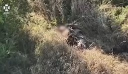 Окупант застрелився після удару по укриттю