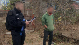 колаборант