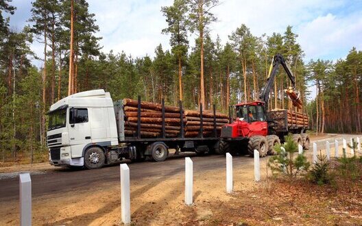 "Ліси України" цього року збільшили сплату податків майже на 850 ...