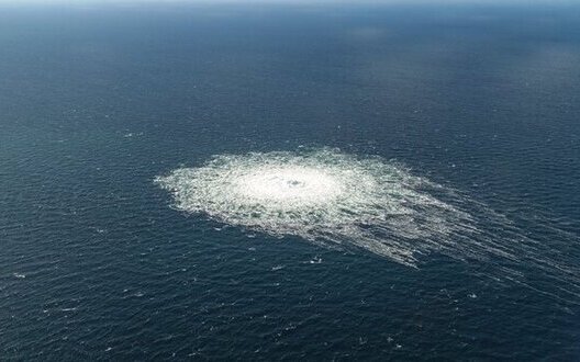 Ukrainian detained on suspicion of Nord Stream sabotage was previously SSU officer – WSJ