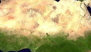 Ученые предсказывают, что Сахара превратится в цветущий оазис. ФОТО.