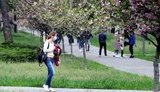 Тернопільська область готова до виходу із жорсткого карантину, - голова ОДА Труш