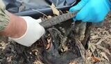 збір рештків ліквідованих поплічників