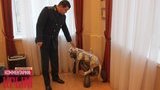 Прокурор Крыма похвастался кабинетом с ягуаром и Swarovski. ФОТОрепортаж