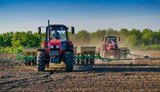 Українські аграрії засіяли 65% запланованих площ озимими зерновими. ІНФОГРАФІКА