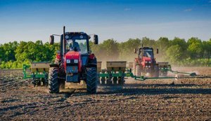 Українські аграрії засіяли 65% запланованих площ озимими зерновими