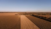 Як змінилося сільгоспвиробництво в Україні за пів року