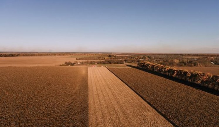 Податкова пояснила, який коефіцієнт індексації земель потрібно врахувати аграріям у декларації