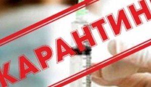 В Украине выявлено более 1460 случаев коронавируса
