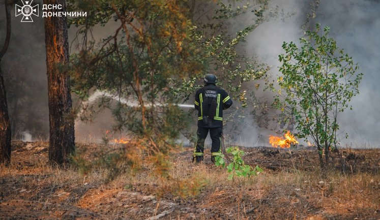 Попри падіння дронів та ракет: в Україні вчетверо зменшилась площа лісових пожеж