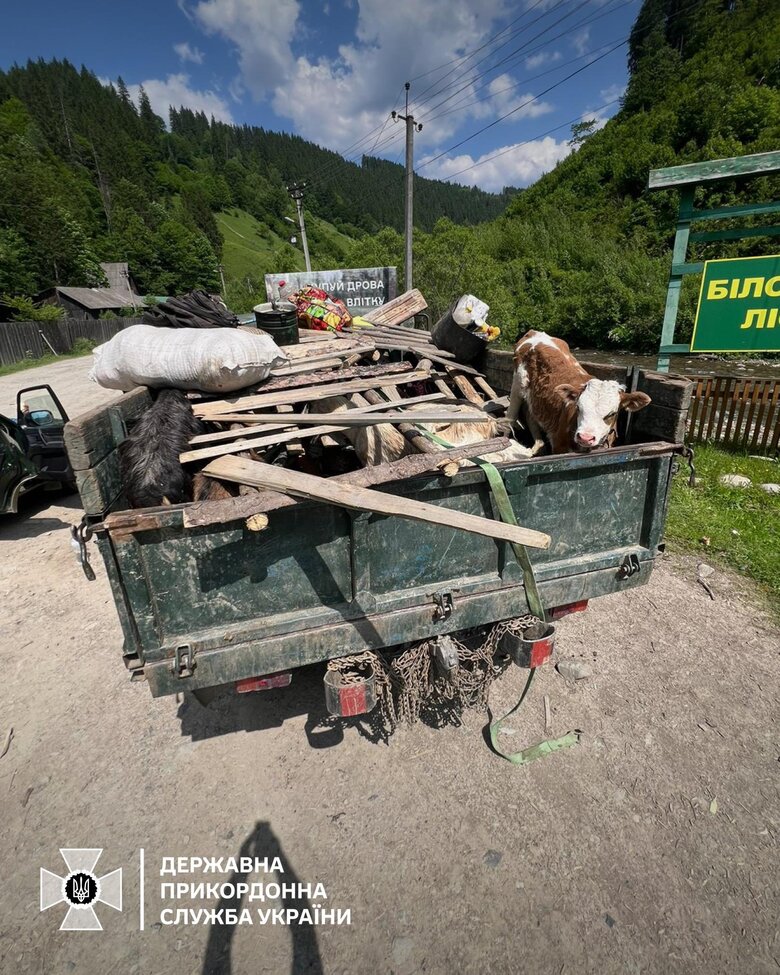 задержание уклонистов