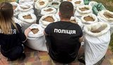 Незаконная добыча янтаря