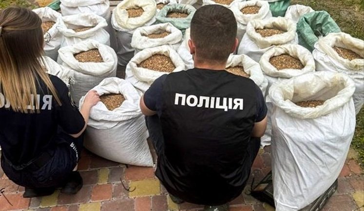 На Ривненщине раскрыли нелегальную переработку янтаря: изъяли камни на сумму свыше миллиона гривен. ФОТОРЕПОРТАЖ