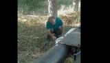 обстріл,лисичанськ