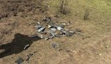 Дрон, який вибухнув у Молдові, попередньо, є російським, - Міноборони країни