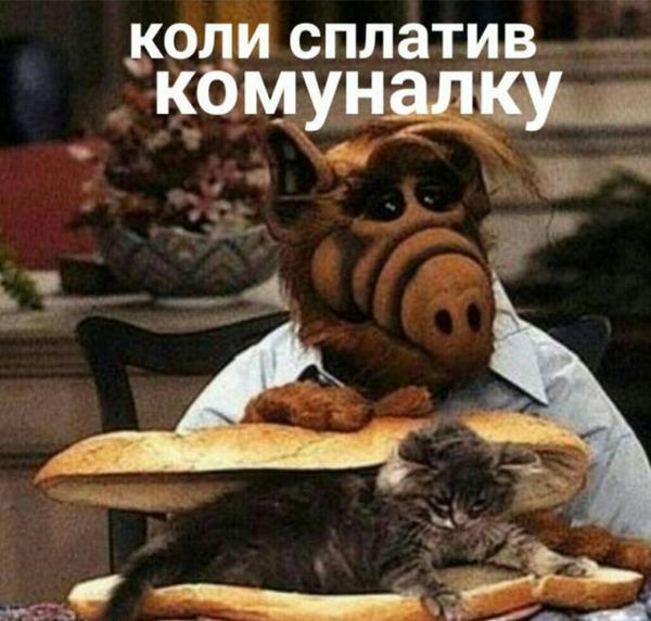 Идеальный русский патриот, политическая механика, ностальгия. Свежие ФОТОжабы от "Цензор.НЕТ" 03 Идеальный русский патриот, политическая механика, ностальгия. Свежие ФОТОжабы от "Цензор.НЕТ" 03