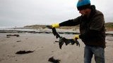 Accident Off the Coast of Odessa is a Disaster on International Scale, Ecologist