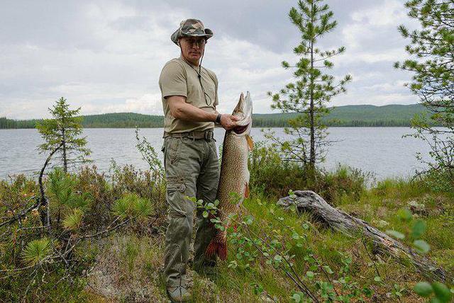 путин щука