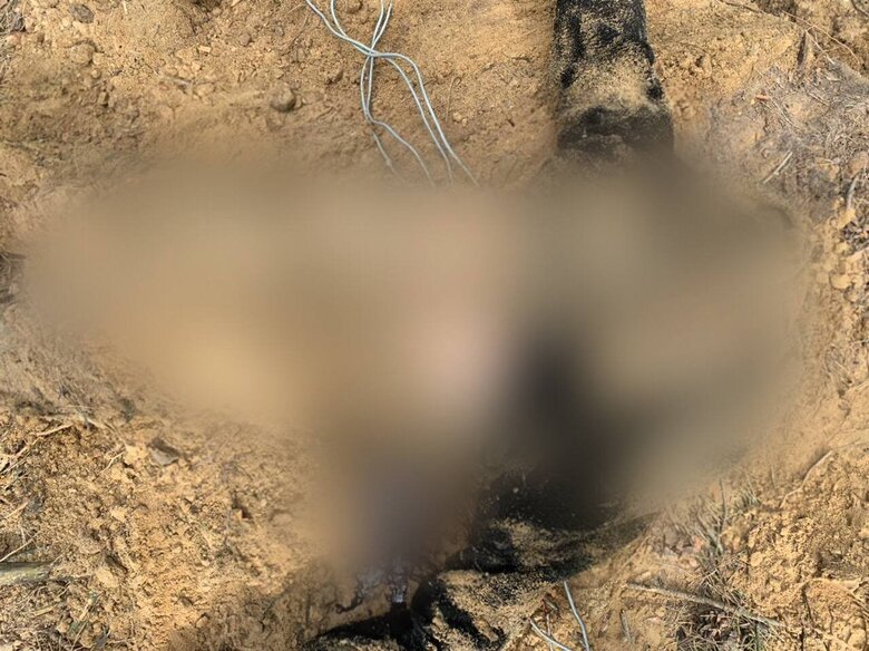 На Київщині знайшли тіло вбитого російськими окупантами жителя села Колонщина, - Нацполіція 01