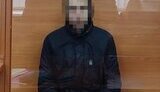Четыре поджигателя задержаны в Киевской и Волынской областях