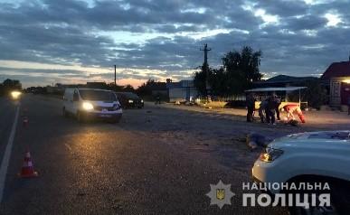 Микроавтобус насмерть сбил мать с 9-летней дочерью на Херсонщине, - полиция 02