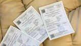 Штраф до 34 тыс. грн за использование поддельных COVID-документов предлагает ввести Кабмин, - Шмыгаль. ВИДЕО