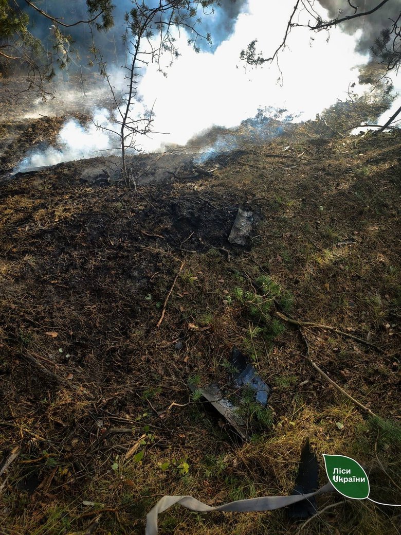 Forest fires in Ukraine – 87 per cent of the area burnt this week was caused by Russian attacks