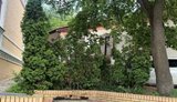 У столиці прибрали монумент Булгакову з Андріївського узвозу