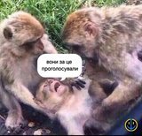 Проголосували...