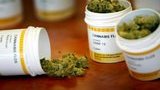 Health Ministry Calls On Rada To Support Legalization Of Medical Cannabis