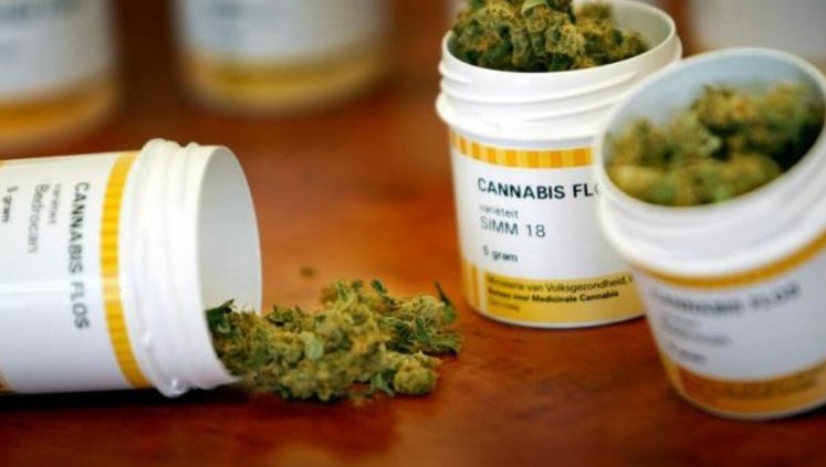 Health Ministry Calls On Rada To Support Legalization Of Medical Cannabis