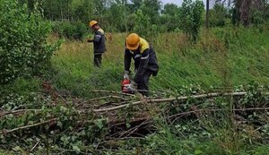Через негоду на Київщині аварійні відключення світла