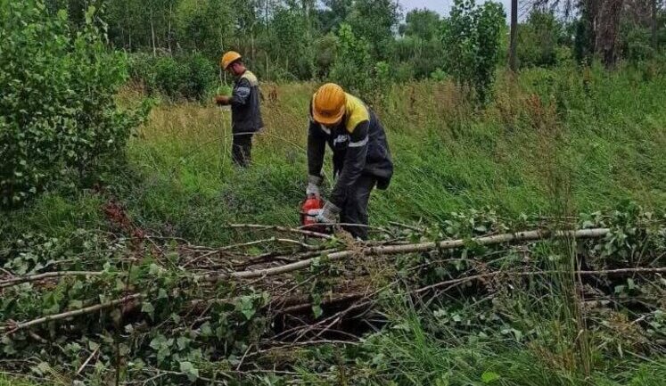 Через негоду на Київщині аварійні відключення світла