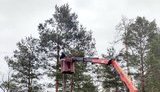 світло