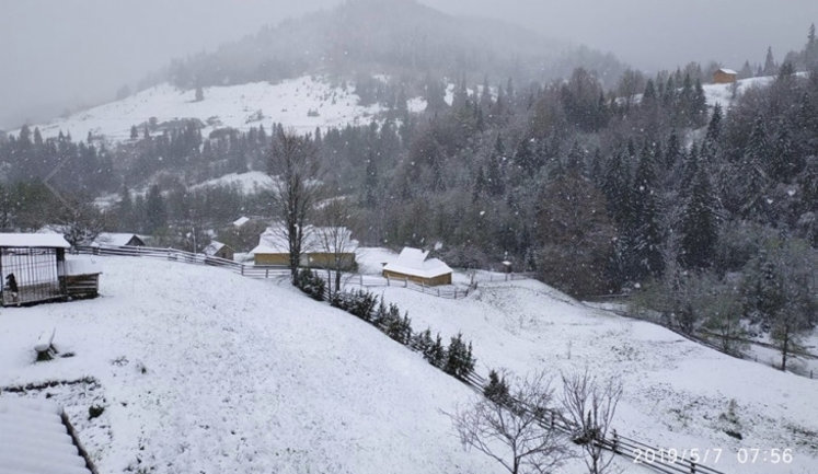 Snow falls across Carpathians region. VIDEO&PHOTOS