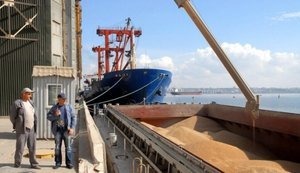 Український агроекспорт у травні сповільнився після квітневого рекорду: статистика за культурами