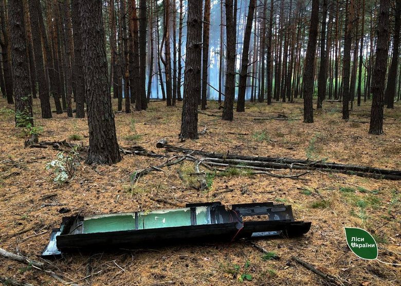 Російські БПЛА, КАБи та FPV-дрони спричинили пожежі на 42 га лісів України