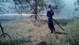 Тушение пожара на 130 га леса на Херсонщине продолжается: возобновлена работа авиации, - ГСЧС. ФОТОрепортаж