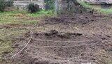 прикордоння,чернігівщини