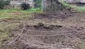 прикордоння,чернігівщини
