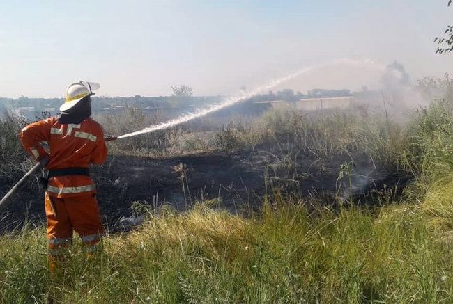 За добу на Дніпропетровщині сталося 85 пожеж на відкритих територіях, - ДСНС 02
